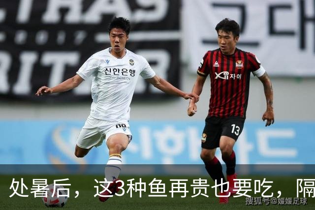处暑后，这3种鱼再贵也要吃，隔天吃一次，养足精力，平安度秋