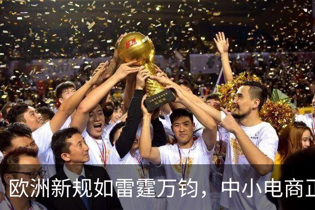 欧洲新规如雷霆万钧，中小电商正在经历“末日审判”！